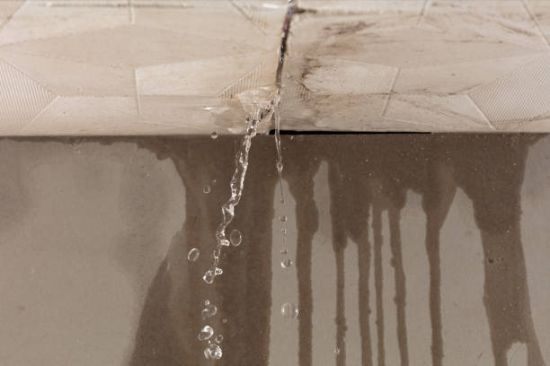 Professional Structural Drying technician working in Ector, TX